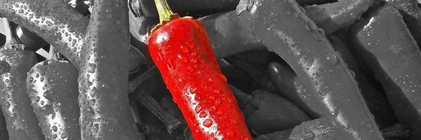 xarxatic Profile Banner