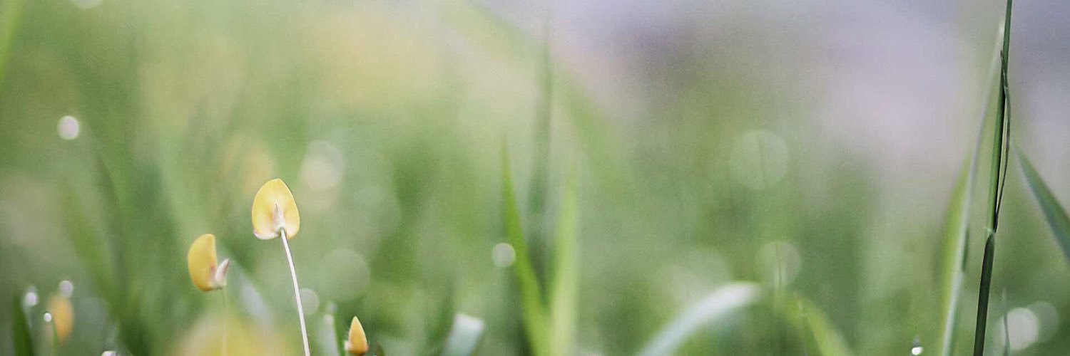 msdebo1's profile banner image
