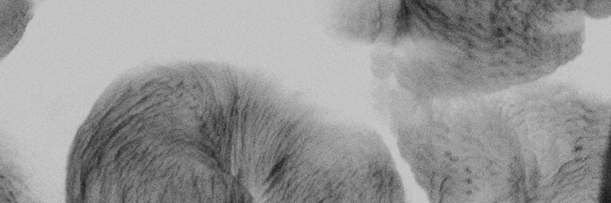 jdlrrapa's profile banner image