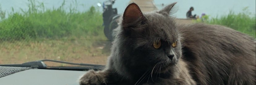 Omendydo36's profile banner image
