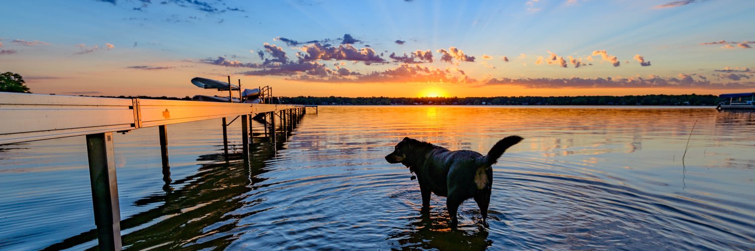 Patrick 🍀🇺🇸 banner