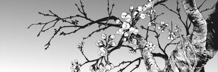 𝑆𝑜𝑛𝑑𝑒𝑟 banner