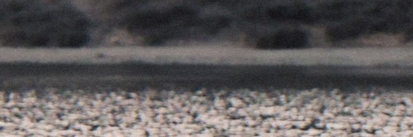 mheeknutxosw Profile Banner