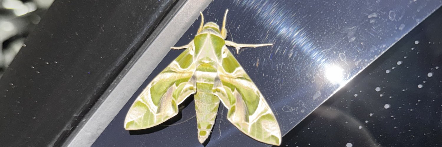 Sarang Ketombe banner