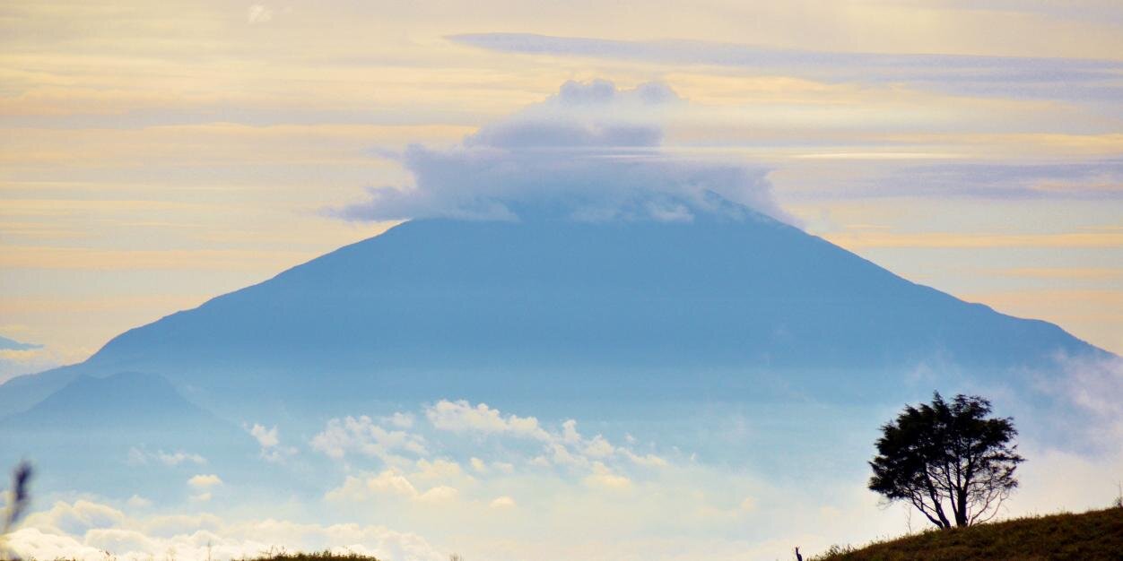 ayataja's profile banner image