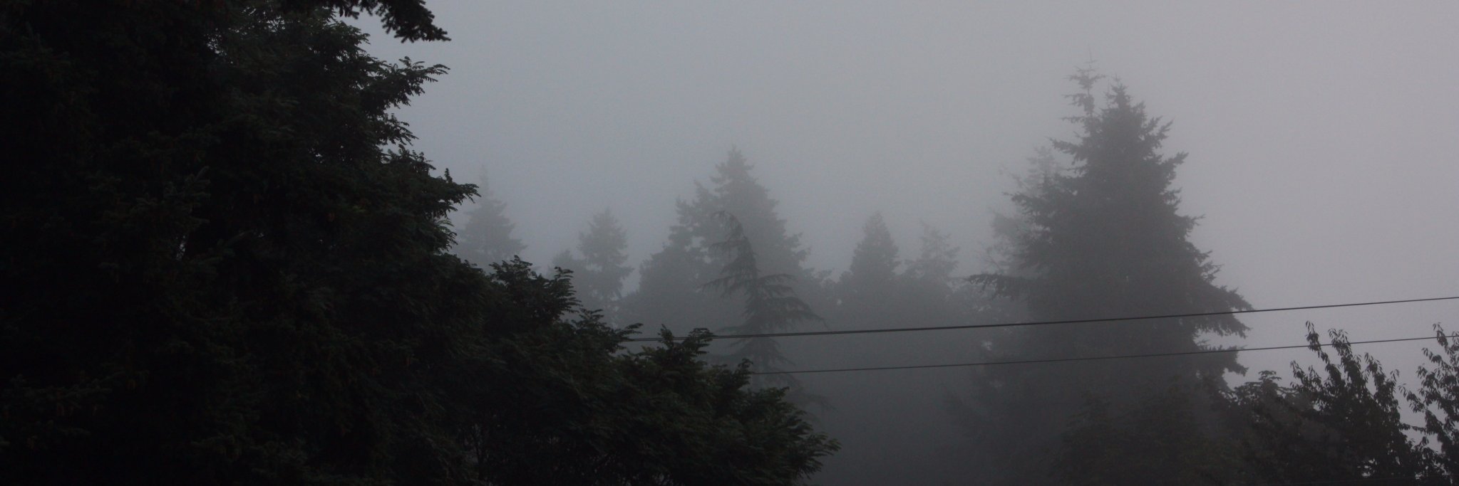 seattleroyale's profile banner image