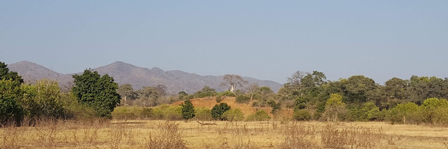 Katherine Davis banner