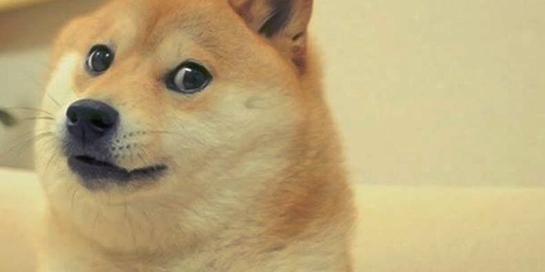 ZPuckett's profile banner image