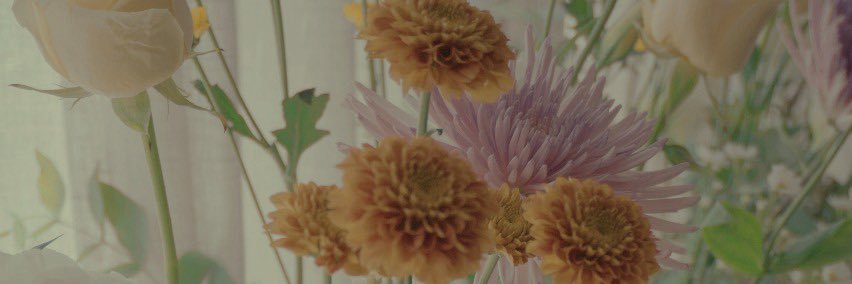 nada_dito's profile banner image