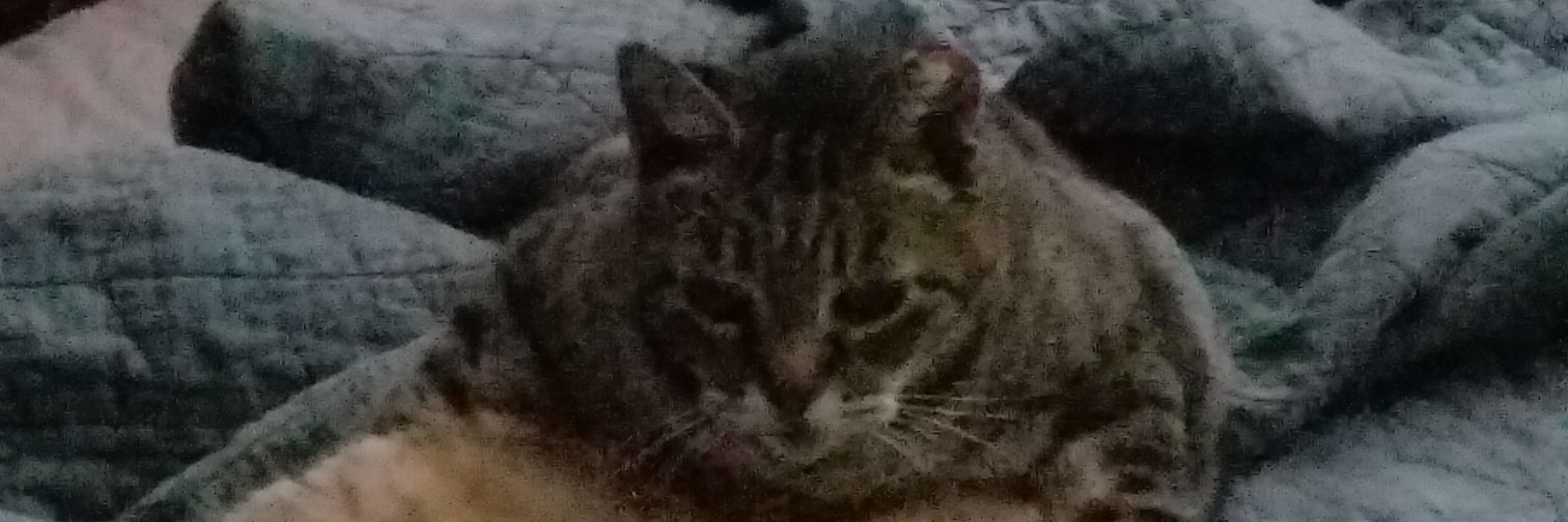 AmericanFilipino banner