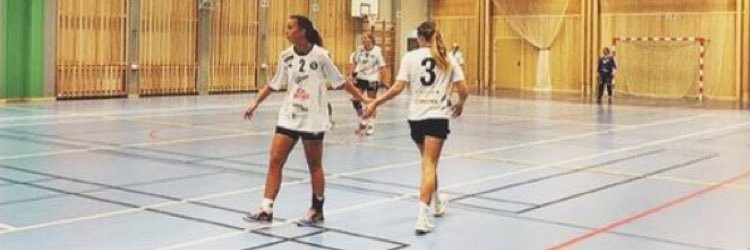 ElinGrahn1's profile banner image