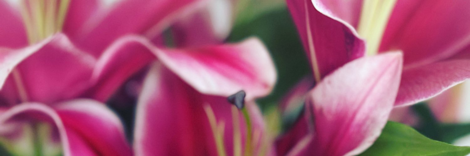 boyyreal's profile banner image