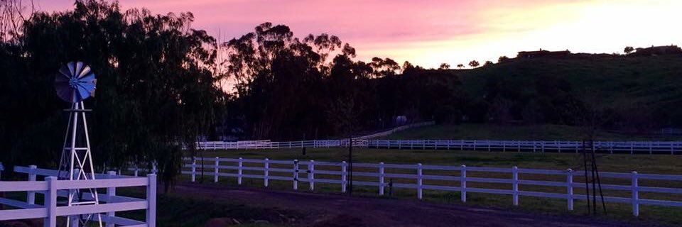 Thomas Johnson, MD banner