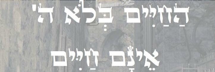 mayanhalabi's profile banner image