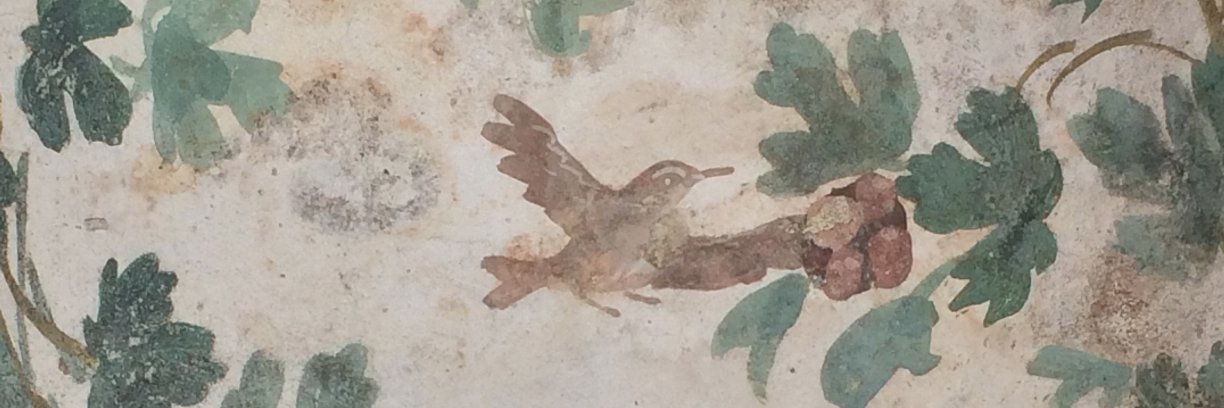 Tony Langlois banner