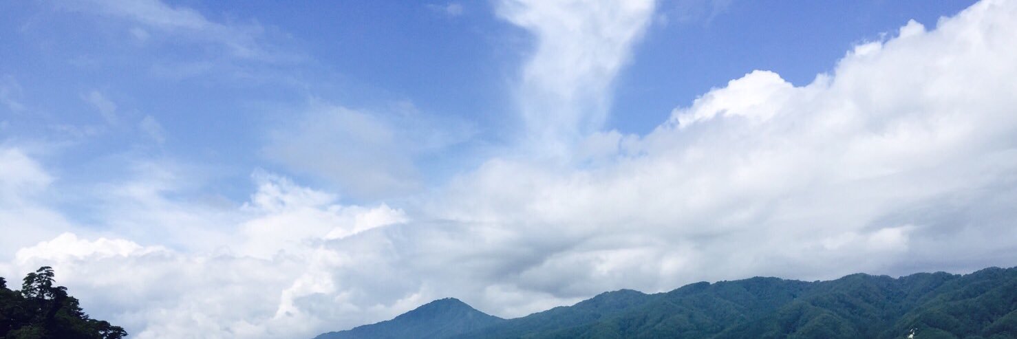 pompom17325's profile banner image