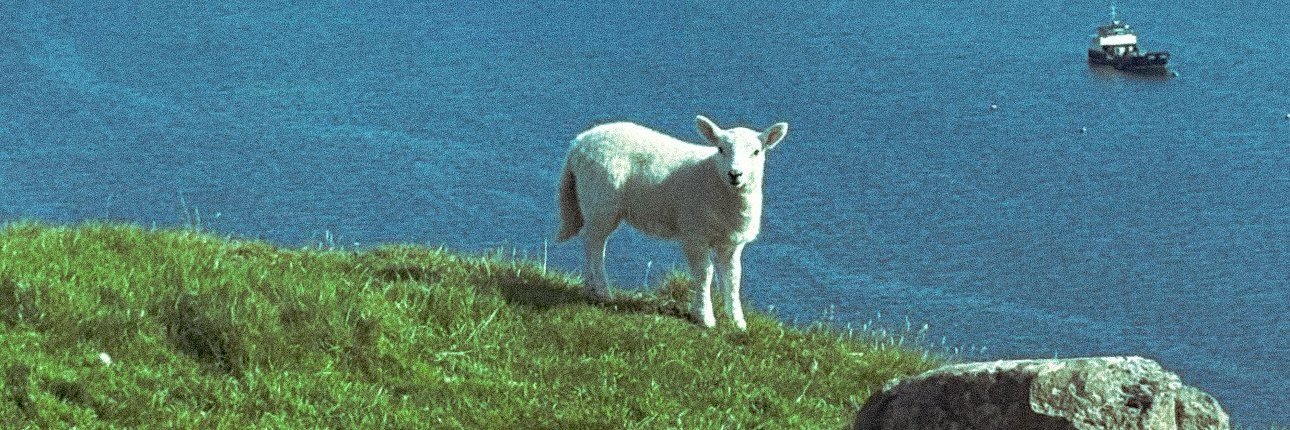 delusional girl❤️‍🔥 banner