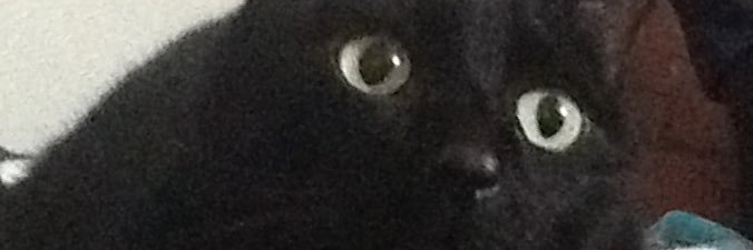 erisuarez_'s profile banner image