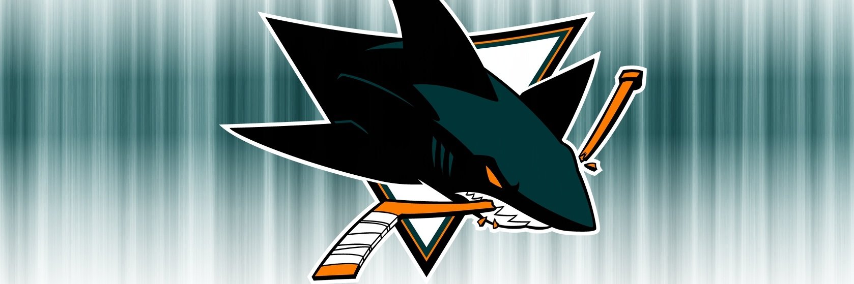 chris skelton banner