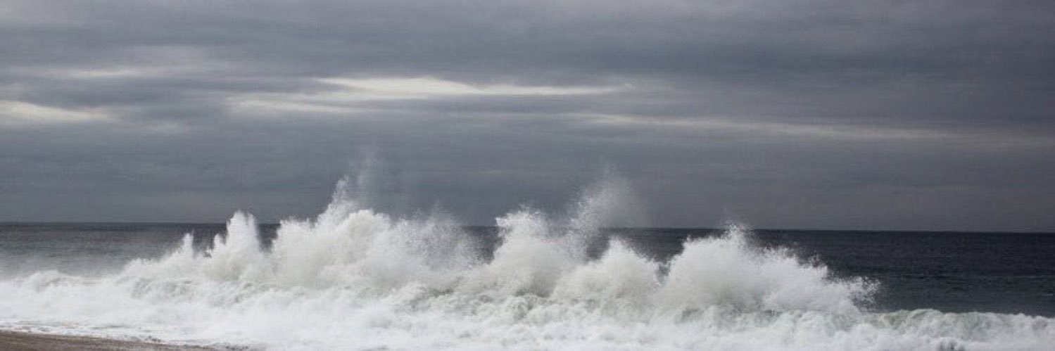 د. بدور الشريع banner