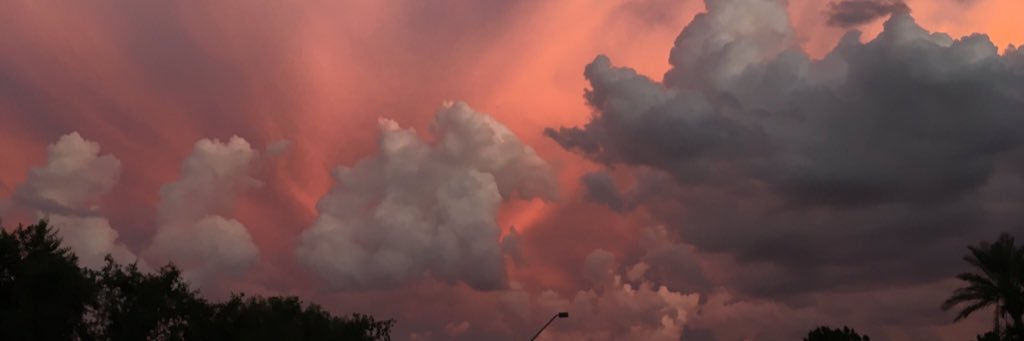 marl1217's profile banner image