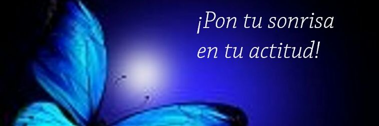 Ingrid Núñez banner