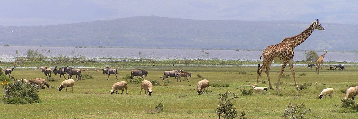 Pablo Manzano 🦋 & 🦣 banner