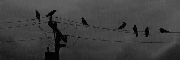 Error404Y's profile banner image