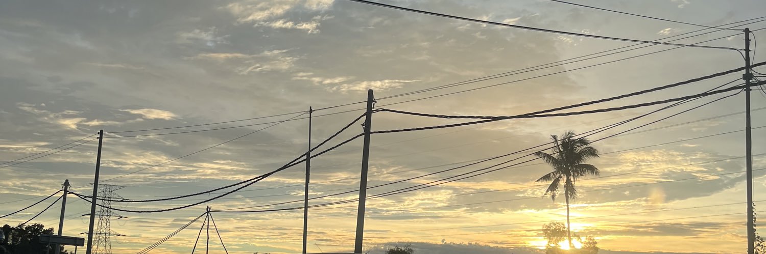 freesiaX_'s profile banner image