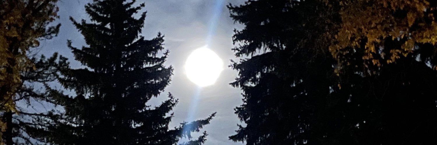 🍁✨Jane✨🇨🇦 banner