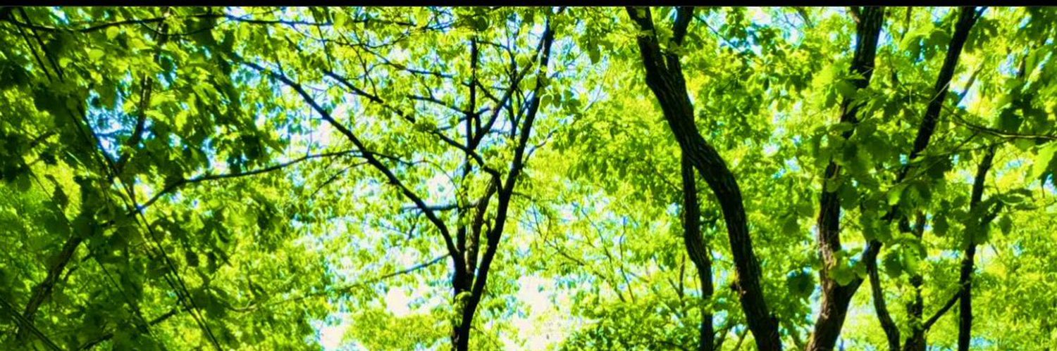 Pan_chiko's profile banner image