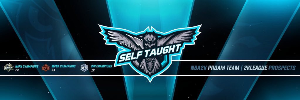 Self Taught 🦉 banner