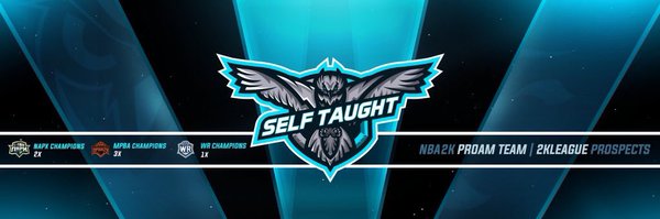 Self Taught 🦉 Profile Banner