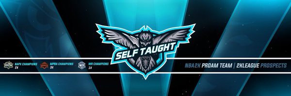 SelfTaught2k Profile Banner