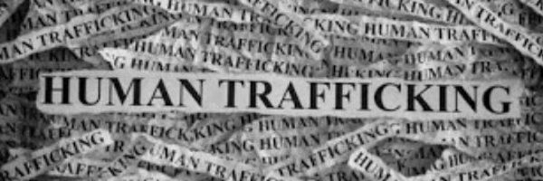 weazel8888 Profile Banner