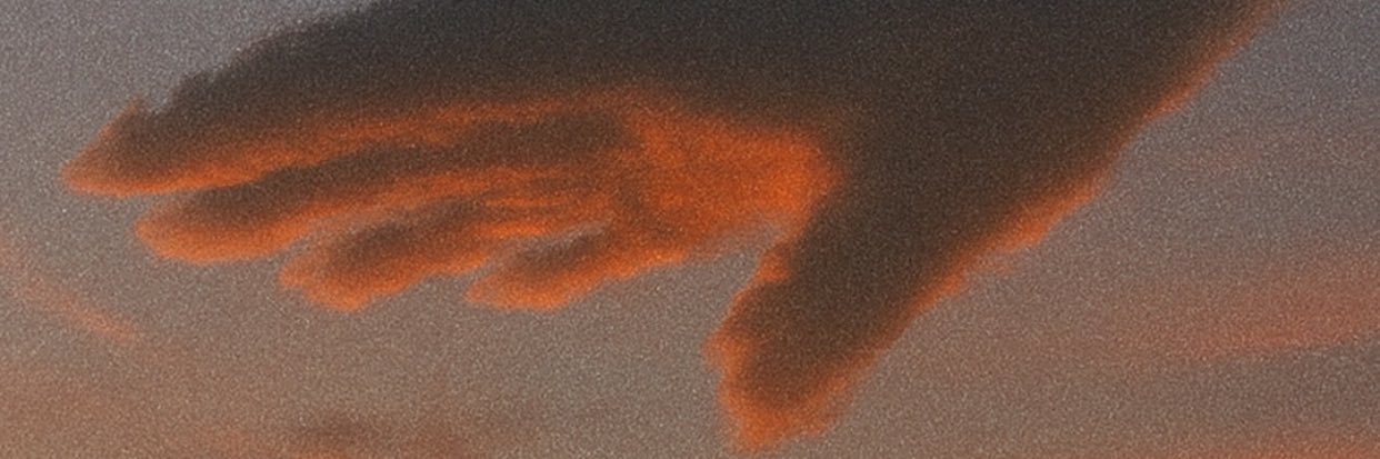 Priscy_cole's profile banner image