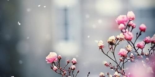songe___'s profile banner image