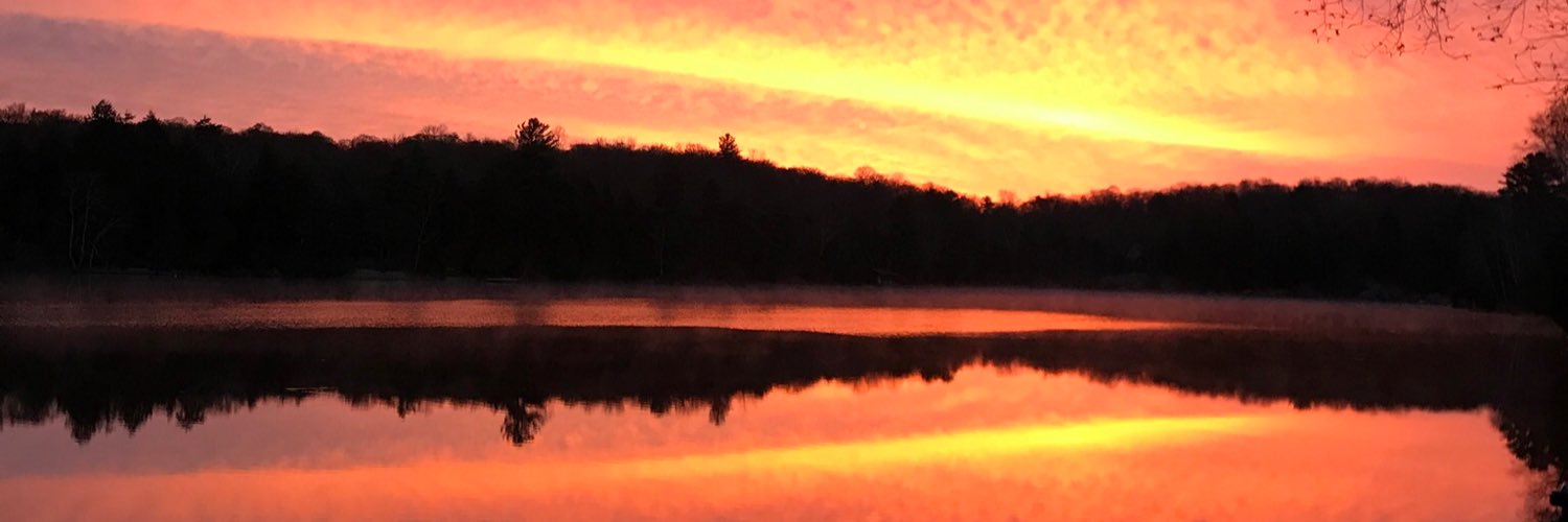 TrottCottage's profile banner image