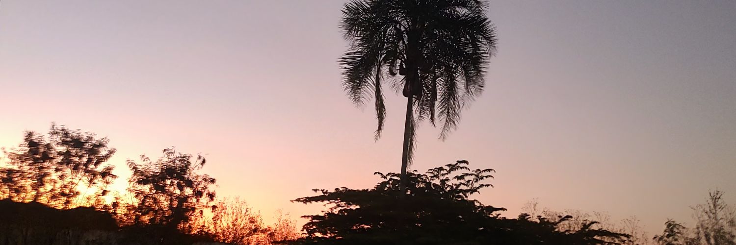 ynduga's profile banner image