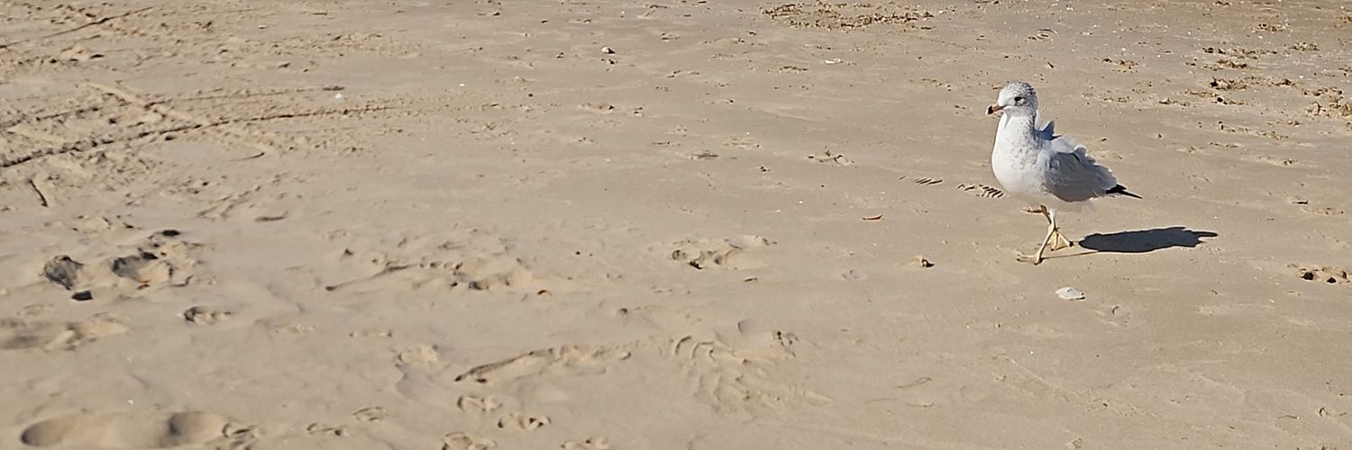 Yoly1189's profile banner image