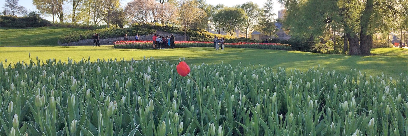 Sarah Eisinga banner