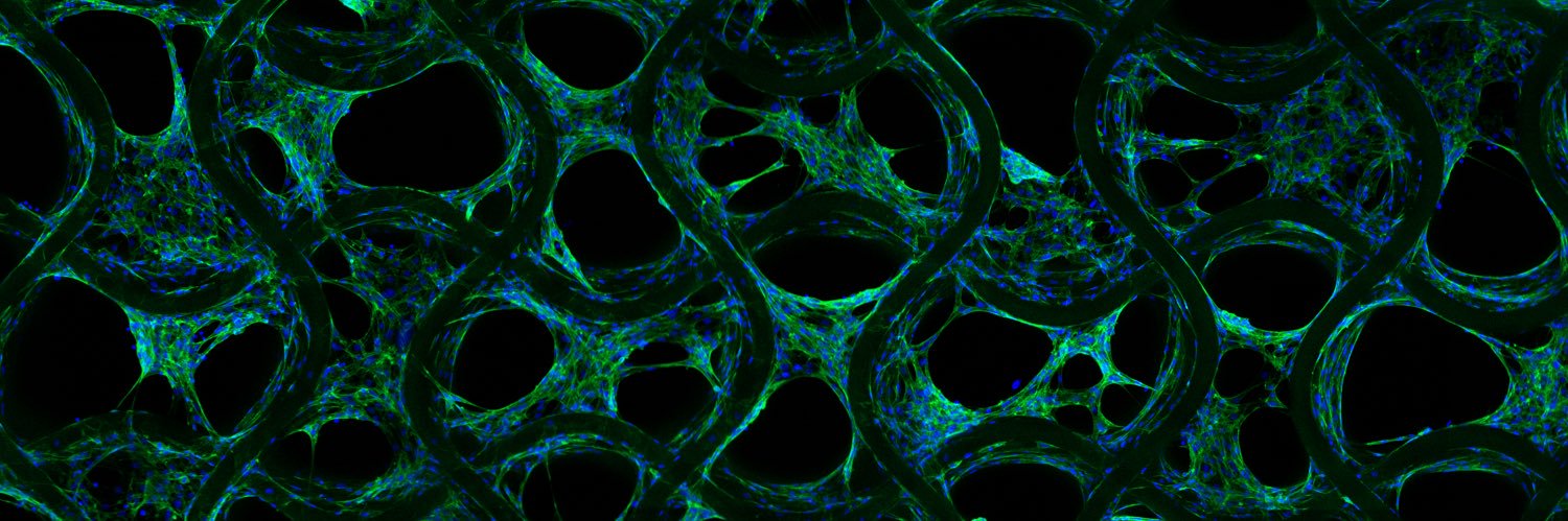 Brenna Devlin banner