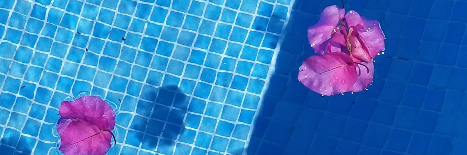 TheHannahWrites's profile banner image