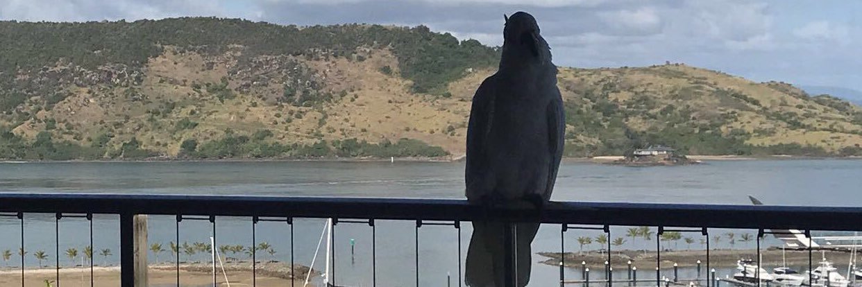 DimityMakim's profile banner image