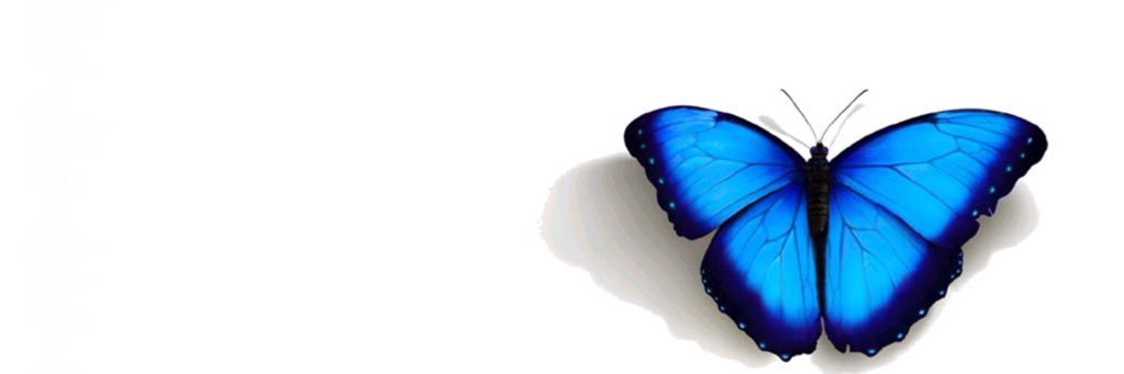 EllieEdwards91's profile banner image