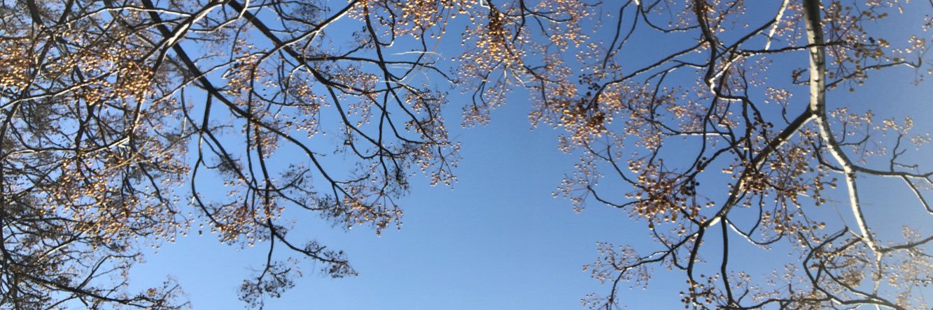 Aitana_AF's profile banner image
