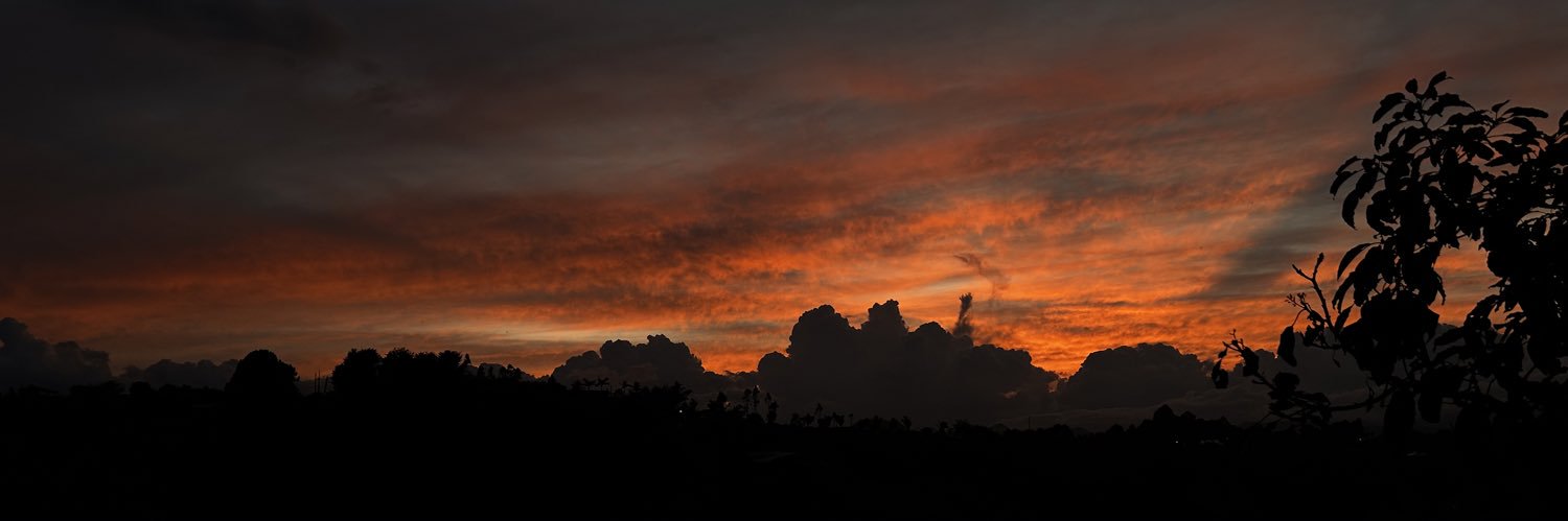 Estella92's profile banner image