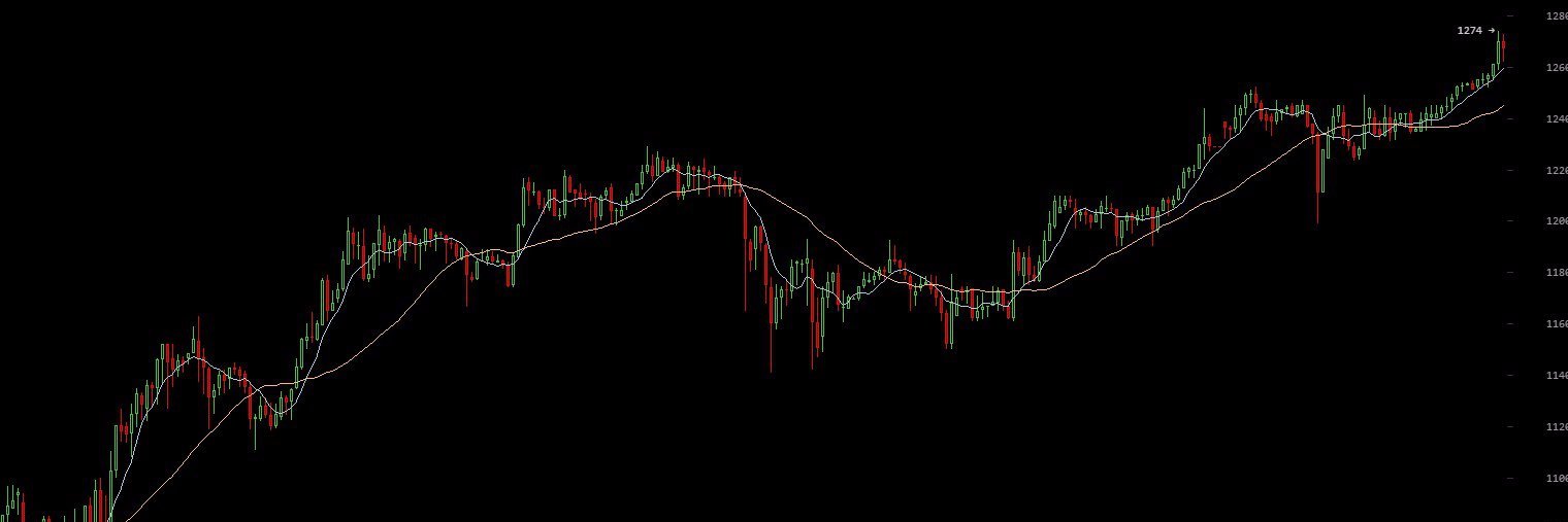 Crypto Otter banner