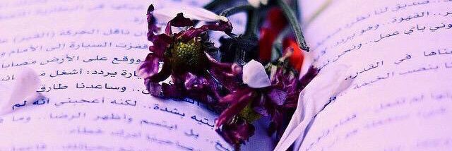 asma_alshreef's profile banner image