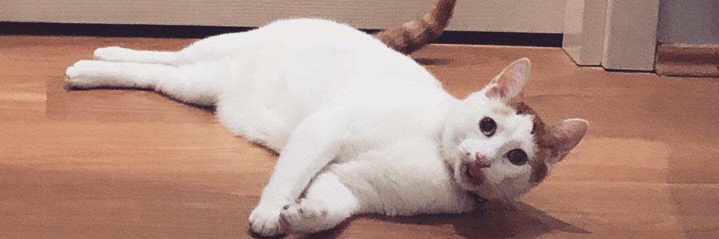nuxeone1's profile banner image